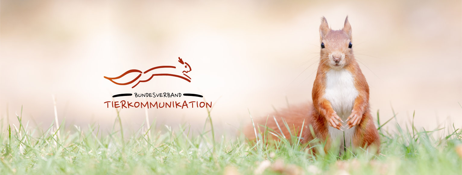 Fachverband seit 2013