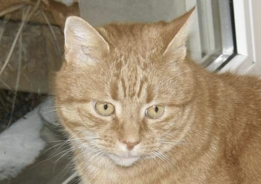 Die Gründung - ein Blogbeitrag von Heike